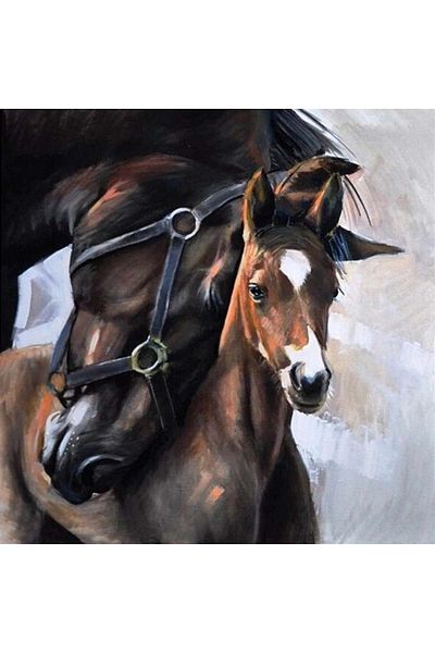 MARCEL SANAT Brown Horse with Her Cub Diamond Mosaic Painting 51x51cm