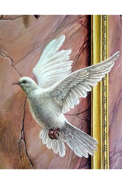 Marcel Kristal Tablo White Pigeon Marcel Art Diamond Mosaic Painting 64x79cm