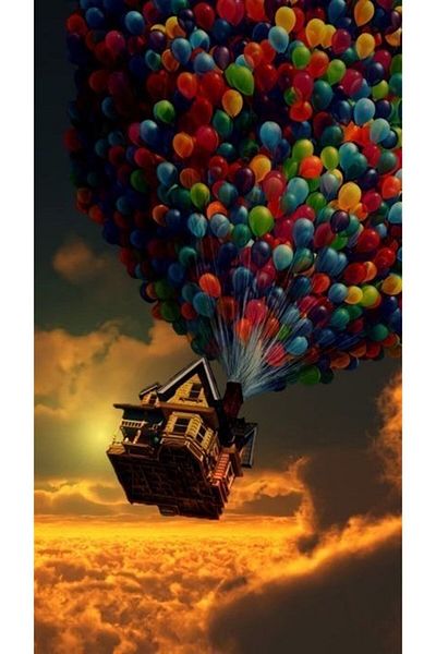 MARCEL SANAT 33x58 Model Look Up Flying House