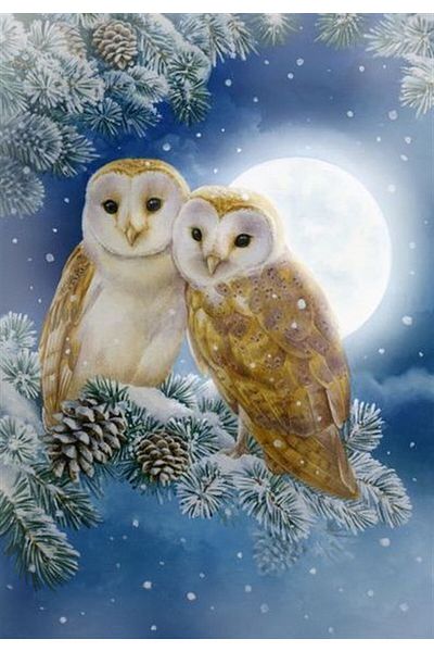 Marcel Kristal Tablo Owl in Love Marcel Art Diamond Mosaic Painting 41x58cm