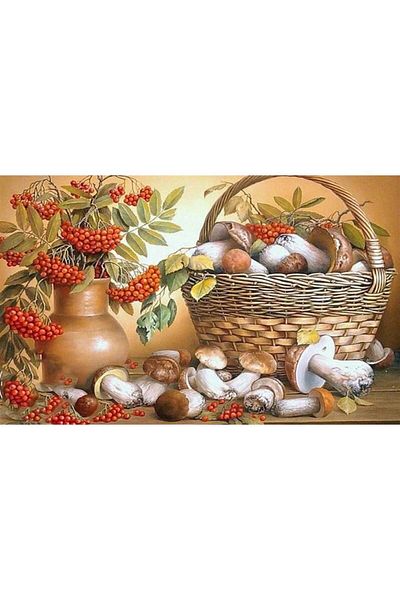 Marcel Kristal Tablo Mushrooms And Flowers Diamond Mosaic Painting 60x40 Cm