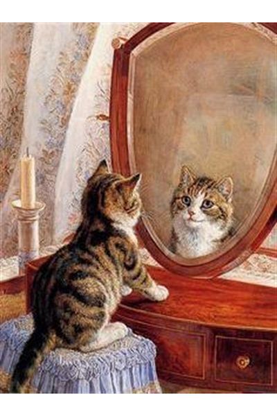 MARCEL SANAT Kitten Looking at the Mirror Marcel Art Diamond Mosaic Painting 38x51cm