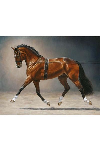 Marcel Kristal Tablo Noble Horse Marcel Art Diamond Mosaic Painting 64x51cm