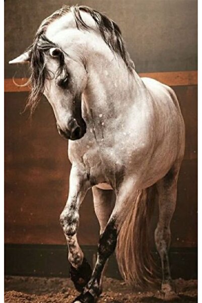 Marcel Kristal Tablo Kır At Marcel Sanat Elmas Mozaik Tablo 33x51cm