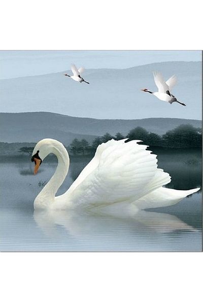 dialands Swan - Stylish and Comfortable Design Fabric