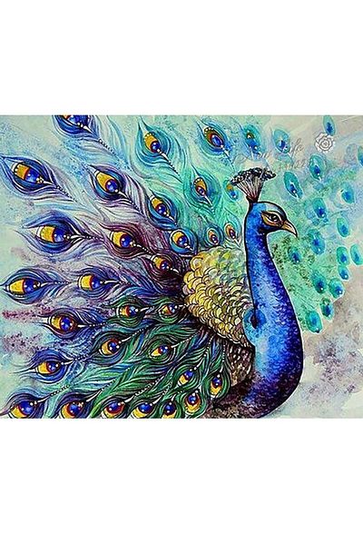 dialands 50x40cm Peacock