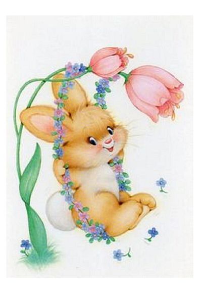 dialands Rabbit Supplies