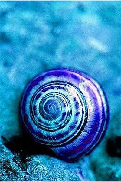 MARCEL SANAT Blue Snail Marcel Art Diamond Mosaic Painting 23x36cm