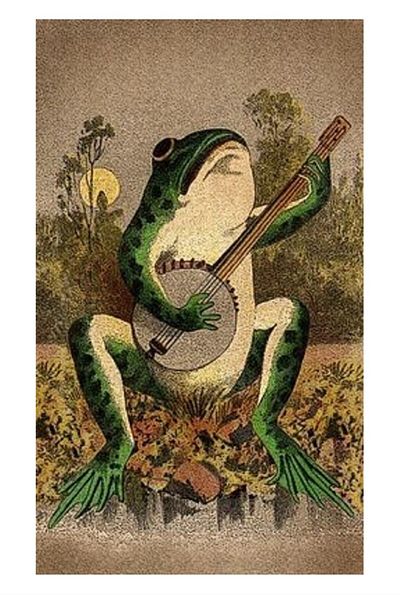 dialands Frog - Relaxed Fit