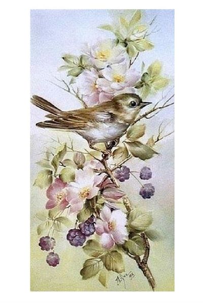dialands Birds - Comfortable and Stylish Design