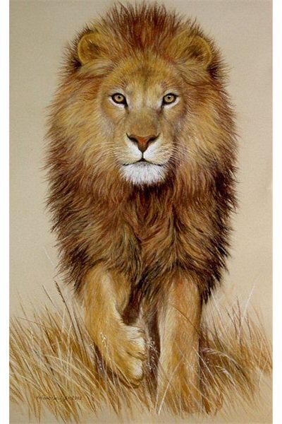 MARCEL SANAT Lion King Diamond Mosaic Painting 30x51cm