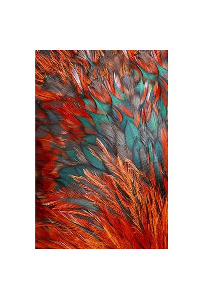 dialands Feathers - Comfortable Cutting Fabric