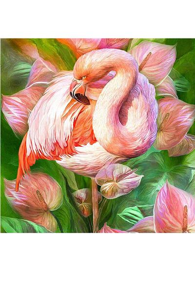 dialands Pelican Design
