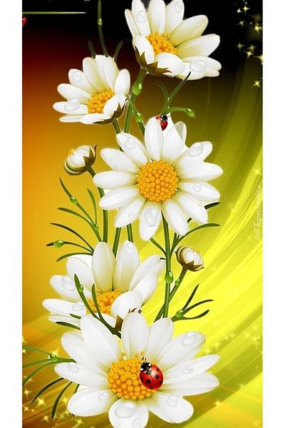 MARCEL SANAT Daisies Diamond Mosaic Painting 30x56cm
