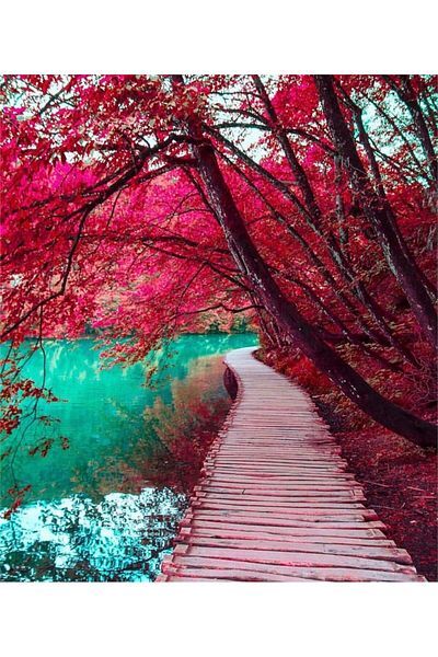 MARCEL SANAT Red Forest Diamond Mosaic Painting on the Lake Shore 40x46cm