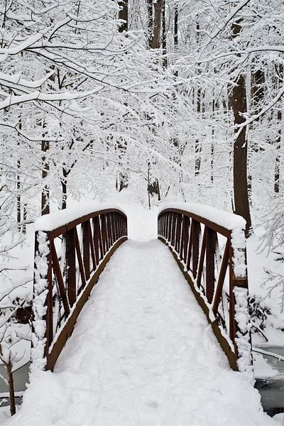 MARCEL SANAT Bridge in the Snowy Forest Diamond Mosaic Painting 36x56cm