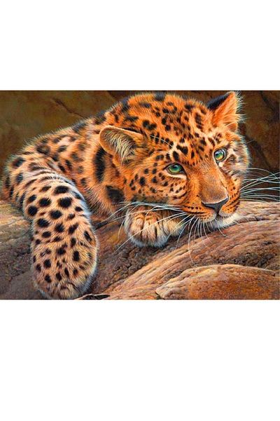 dialands Tiger - Relaxed Fit