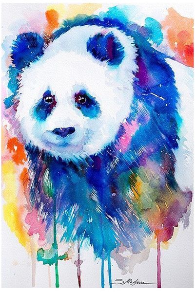 dialands Panda Patterned Suitable Shoes