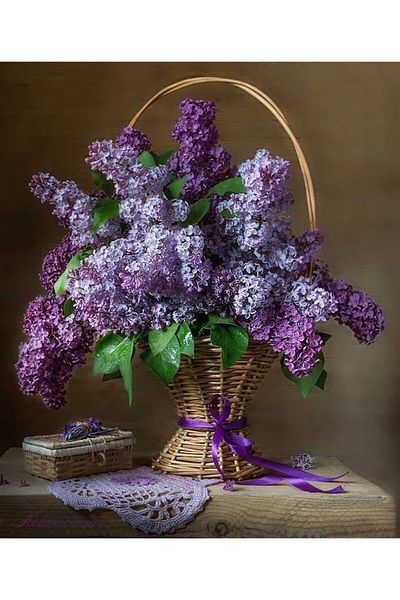 MARCEL SANAT Purple Clusters in the Basket Diamond Mosaic Painting 46x56cm