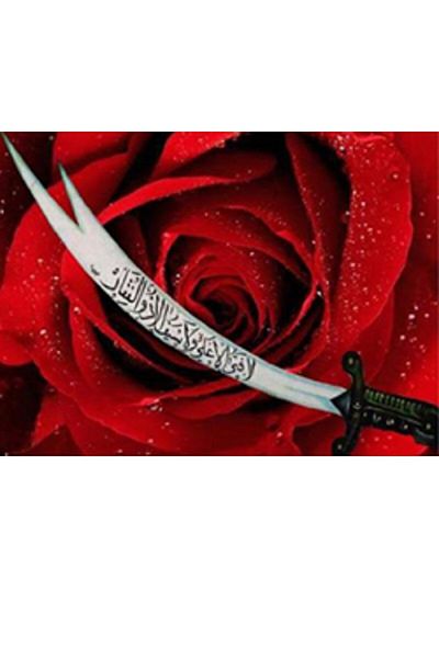 dialands Zulfikar Design
