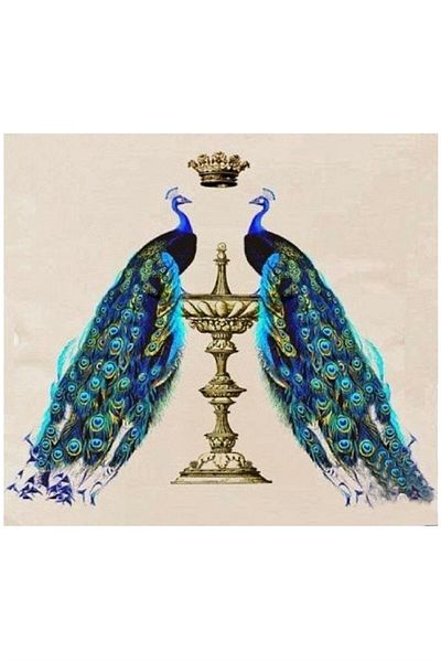 dialands The Bird of Peacocks