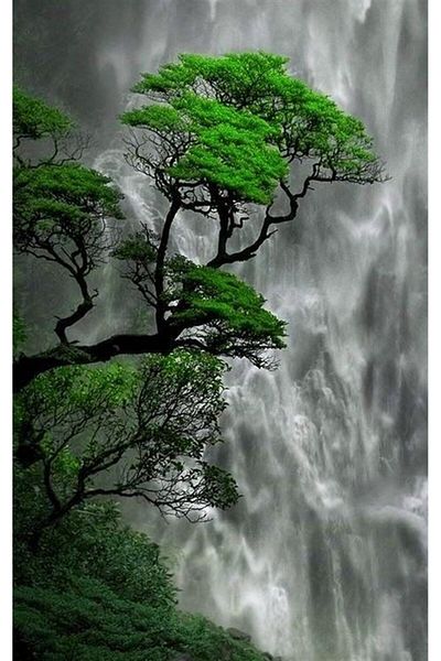 MARCEL SANAT Green Tree Diamond Mosaic Painting Reaching the Sky 36x58cm
