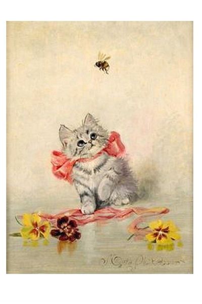dialands Cat - Stylish and Purpose Cat