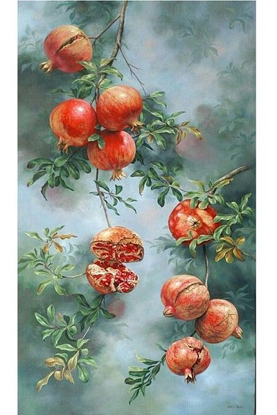 dialands Pomegranate Tree - Fashionable and Convenient