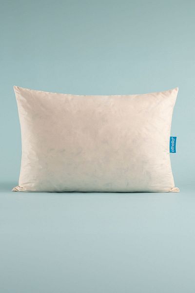OTHELLO Cotton Fabric Teddy 205tc - 5 Tickled Goose Feather Pillow 50x70 Cm