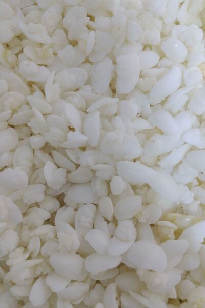 Eşkina Balık Taşı 60 Adet