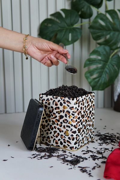 EVLE Er024-v4 Leo Patterned Square Metal Storage Container 12x12 Cm
