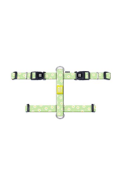 Max & Molly Margarite Colored Dog Collar