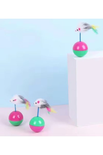 Meow Pet Cat Game Hacı Yatmaz Cat Play Ball