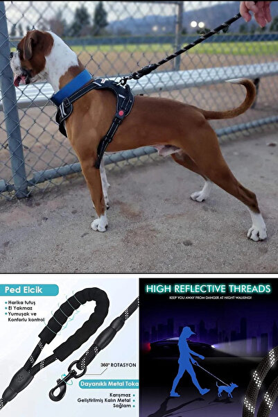 Askımo A Kalite Reflektörlü Fitil Köpek Gezdirme Tasması Küçük, Orta Ve Büyük Irk Bağlama Kayışı