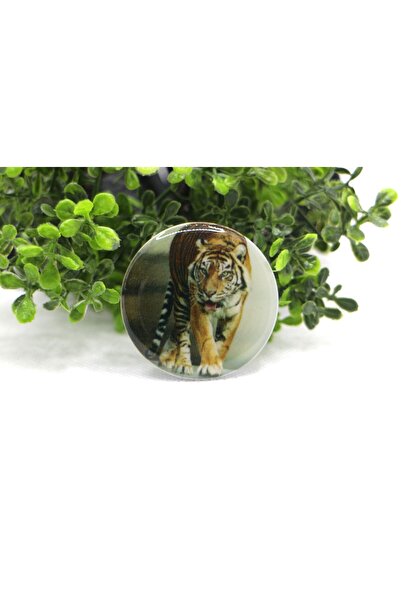 Tezcan Aksesuar Popsocket Telefon Tutacağı Desenli ve Baskılı Parmak Tutucu