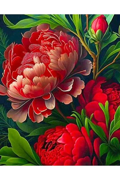 Marcel Kristal Tablo Marcel Art - 46x58cm Red Peony Flower Diamond Mosaic Painting