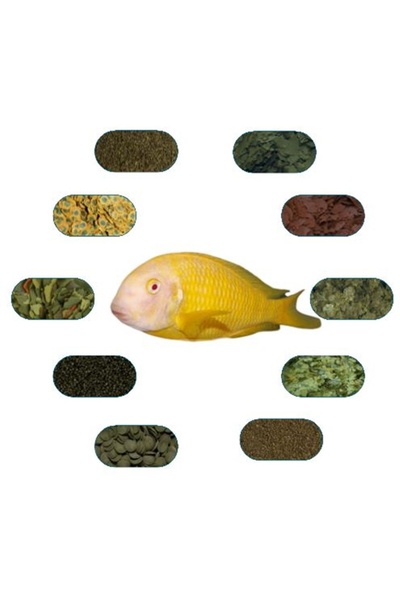 FSFPETMARKET TROPHEUS ALBİNO KİPİLİ YEM PAKETİ ( 100'ER GR - 9 ÇEŞİT )