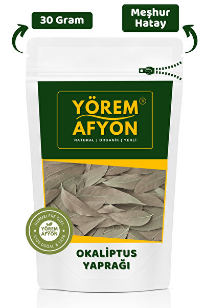 Gülçehre Yörem Afyon Meşhur Hatay Yayladağı Okaliptus Yaprağı, Çölkurtaran, Sıtma Ağacı | 30Gr.
