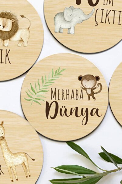 Enjoymydesign مجموعة بطاقات الطفل الشهرية للحامل، مجموعة بطاقات سفاري لالتقاط...