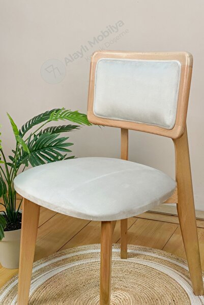 Alaylı Mobilya Koltuk Döşeme Zion Ahşap Sandalye, Temizlenebilir Kumaşlı Mutfak Sandalyesi