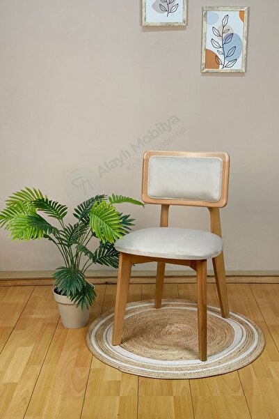 Alaylı Mobilya Koltuk Döşeme Zion Ahşap Sandalye, Temizlenebilir Kumaşlı Mutfak Sandalyesi