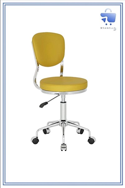 bluetick White Furniture Uzman Diyetisyen Diş Hekimi Cerrahi Müdahale Hemşire Doktor Muayene Sandalyesi 3AY10