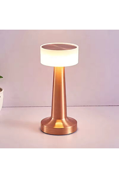 N&D Lighting Forlife Nil Dokunmatik Şarjlı Dekoratif Led Masa Lambası
