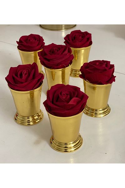 Elzemm store Gold Plated 6-Piece Rose Bucket Red Rose Included