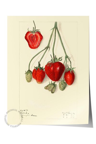 Postifull Pictură poster fără încadrare, poster de perete, imprimare artistică HD, minimalismul cireșului, maximalist nr:206