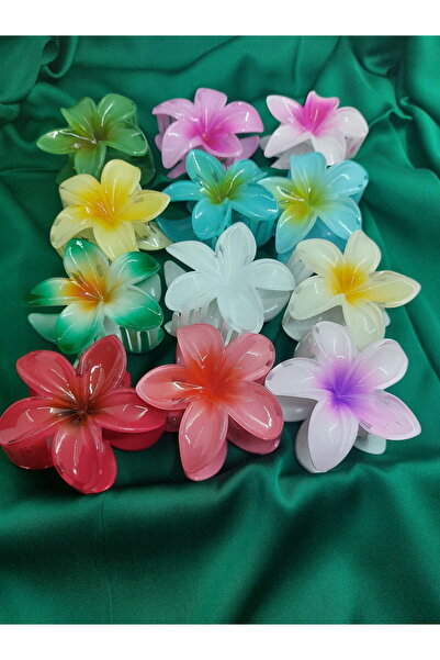 Demeter Renkli Lotus Toka (Büyük)