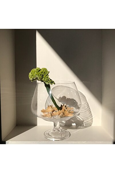 LIM Flowers Istanbul CADUS LIM CAM VAZO