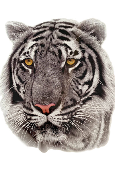 TAKIŞTIR Geçici Kaplan Figürlü Dövme Tattoo