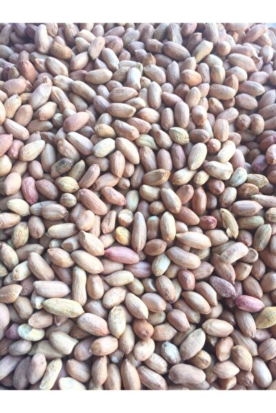 KİMYAGER FISTIKÇILIK VE KURUYEMİŞ Çiğ (Kavrulmamış) Orta Boy Iç Yer Fıstığı 2000gr