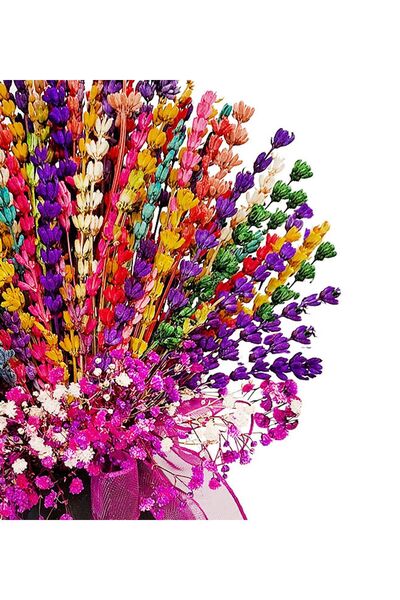 çiçekseli Rainbow Lavanta Ve Cipso & Ayaklı Siyah Beton Saksıda Renkli Lavanta Ve Cipso Kuru Çiçek Uzun Vazo